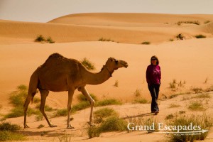 Curious encounter in the Wahiba Sands