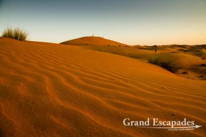 Sand Dunes, Wahiba Sands, or Ramlat al-Wahiba (also called Sharqiya Sands), Sultanat of Oman, Arabic Peninsula