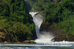 Murchison Falls National Park, North Uganda, Africa