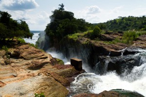 Murchison Falls National Park, North Uganda, Africa