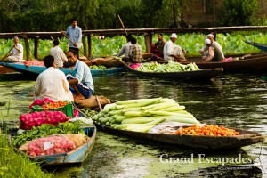 Floating Vegetable Market, early morning on Lake Dal, Srinagar, Kashmir, India