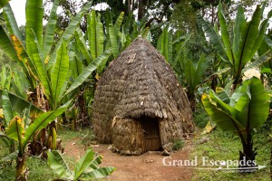 Beehive-shaped huts, Dorze village, near Arba Minch, Omo Valley, South Ethiopia