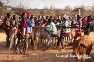 Bull-Jumping Ceremony, Hamer People, near Turmi, Lower Omo Valley, South Ethiopia