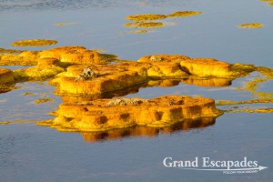 Sulphure formations of various colors and shapes, Dallol, Danakil Depression, Ethiopia