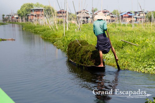 Floating gardens on Inle Lake, Myanmar