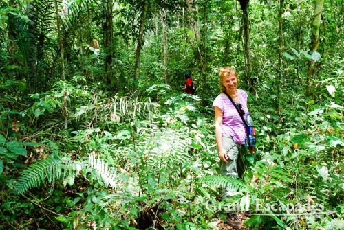 Walking through the Rain Forest, Madidi National Park, Amazon Rain Forest, Rurrenabaque, Bolivia