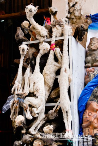 At the Witches Market downtown La Paz ... In almost every shop you can buy those obviously dead llama fetuses.