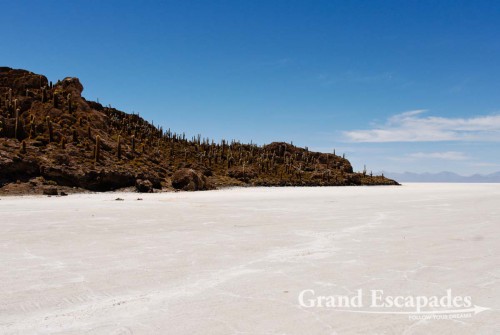 The Incahuasi Island or Fish Island, in the middle of the Salar de Uyuni, Southwest Bolivia, South America