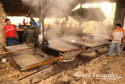 The freshly cut sugar cane is brought there by horses and then stuffed in the press - ?Trapiche?. The juice spills straight into a basin that is heated by burning the dried stalks left after the juice is extracted. The boiling juice is than scooped in other basins, in each the liquid is reduced until it is poured into molds