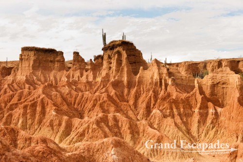 A short walk from the Observatory takes you into amidst incredible rock formation of different reddish colours, the ?Laberintos de Cusco? (Cusco Labyrinths), dotted with different cactuses. The little towers, cliff and ravines were sculptured by the wind and infrequent rain