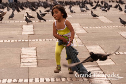 On our last day in town, sunshine touched Plaza de Bolivar and the thousands of pigeons that ascend on Bogota?s most famous square to feed on the maize that children throw at them. The very same children then take great pleasure in running into the throve of pigeons making them to fly off in panic. The plaza is surrounded by churches and official buildings underlying its importance