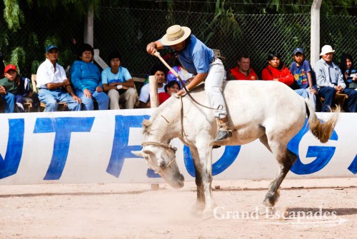 Crina Limpia - It is a gaucho trying to stay on a horse without a saddle, only holding on to a rope tied around the horse?s neck pushing his long spurs into the horse?s belly. The gaucho has to stay on the bucking horse for 13 seconds, otherwise he is disqualified - Maimara, near San Salvador de Jujuy, Northwest Argentina