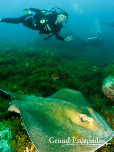 Gilles swimming along a huge sting-ray, Fernando de Noronha, Brazil