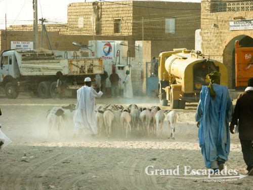 A glimpse of Timbuktu: men in traditional clothes, sheep, trucks ... and dust! Several worlds meeting each other, Timbuktu, Mali