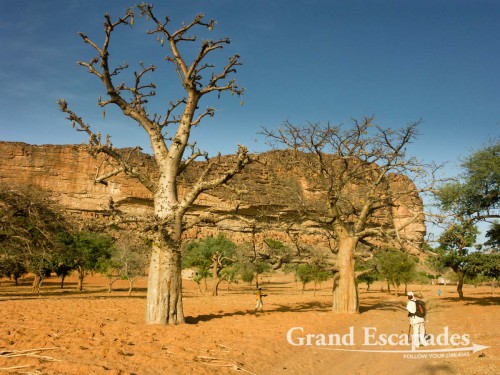 The Falaise de Bandiagara, with villages high up on the cliffs and down in the Savanah, Dogon Country, Mali