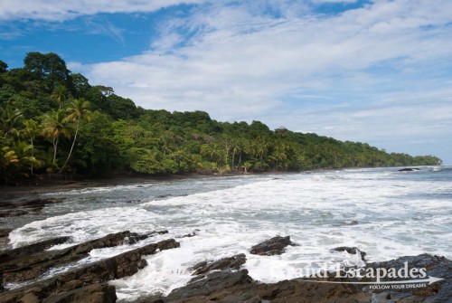 Situated on Punta Burica, on the western Pacific Coast next to the Costa Rican border, the 7 hectares of secondary forest of the Mono Feliz are next to a deserted beach - Golfo de Chiriqui, Panama