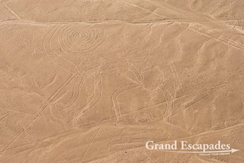 The Nasca Line: the Monkey - A UNESCO World Heritage, Nazca, Peru