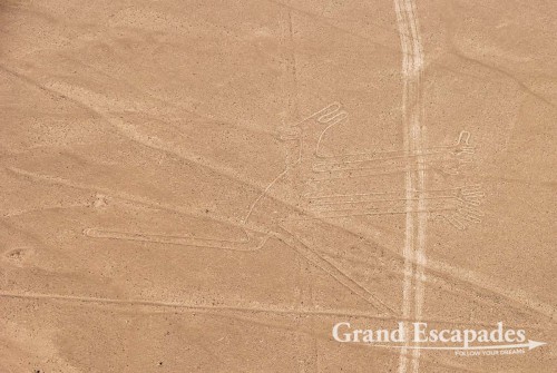 The Nasca Lines: the Dog - A UNESCO World Heritage, Nazca, Peru