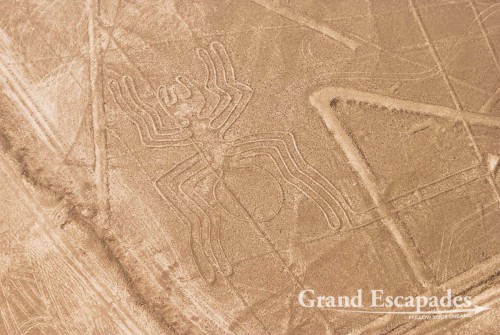 The Nasca Lines: the Spider - A UNESCO World Heritage, Nazca, Peru