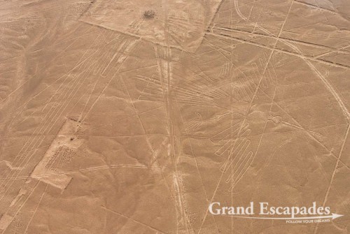 The Nasca Lines: the Condor - A UNESCO World Heritage, Nazca, Peru