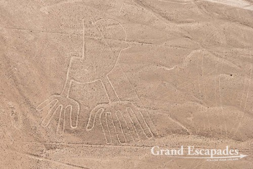 The Nasca Lines: the Hands  - A UNESCO World Heritage, Nazca, Peru