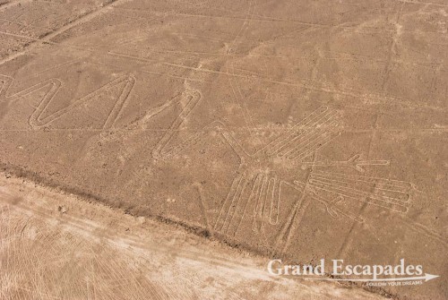 The Nasca Lines: the Heron  - A UNESCO World Heritage, Nazca, Peru