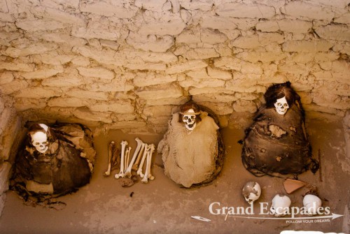 Ica-Chincha Mummies found in the Chauchilla Cemetery ... near Nazca, Peru
