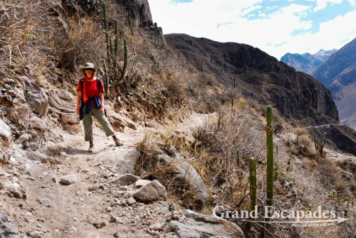 Trekking the Canyon de Colca, the 2nd deepest Canyon on earth, Cabanaconde, Peru - Heidi enjoys the way down to the Rio Colca ...