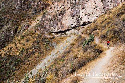 Trekking the Canyon de Colca, the 2nd deepest Canyon on earth, Cabanaconde, Peru