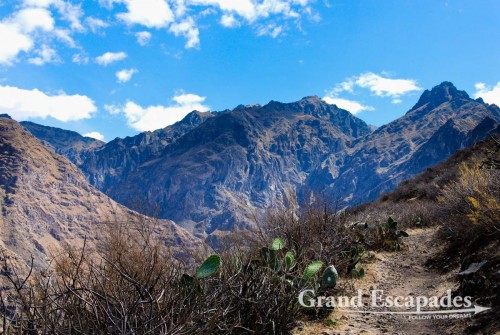 Trekking the Canyon de Colca, the 2nd deepest Canyon on earth, Cabanaconde, Peru - Path on the way to Sangalle ...