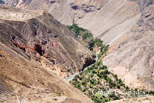 Trekking the Canyon de Colca, the 2nd deepest Canyon on earth, Cabanaconde, Peru - View of the Oasis in Sangalle with the path coming from Fure / Malata (on the left) and the other going up to Cabanaconde (on the right) ...