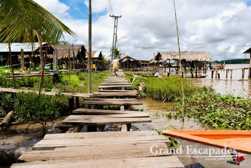 Boat Tour in the Orinoco Delta, Venzuela - Warao Village