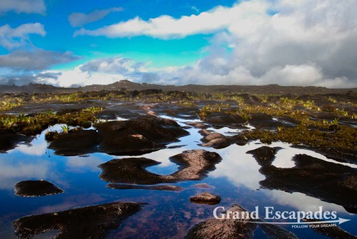 Trekking Mount Roraima, the highest Tepui or Tabletop Mountain, Venezuela - View on top of Mount Roraima with a beautifull afternoon light: rocky boulders, water, swamps and a few plants ...