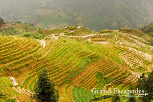 Rice Terraces of Ping’An, China