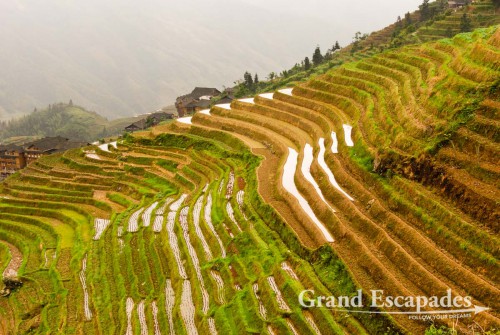Rice Terraces of Ping’An, China