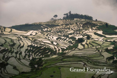 Rice Terrasses of Yuanyang (here in Duoyishu), Yunnan, China
