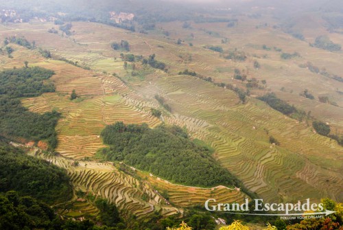 Rice Terrasses of Yuanyang, Yunnan, China