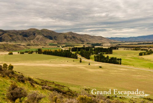 "Grand View" Farm: 700 hectares, 3.500 sheep & 250 deer! And Colin is managing the whole alone... South Island, New Zealand
