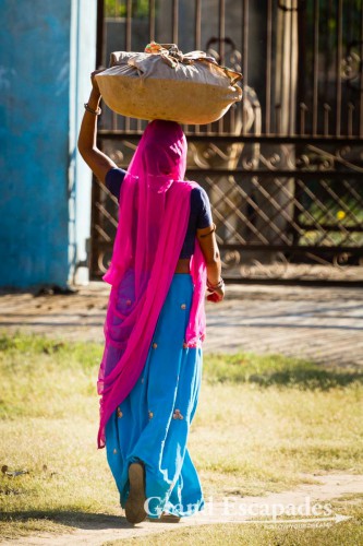 Woman going to the market, Pushkar, Rajasthan, India