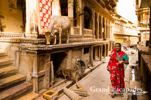 In the streets of Jaisalmer, Rajasthan, India