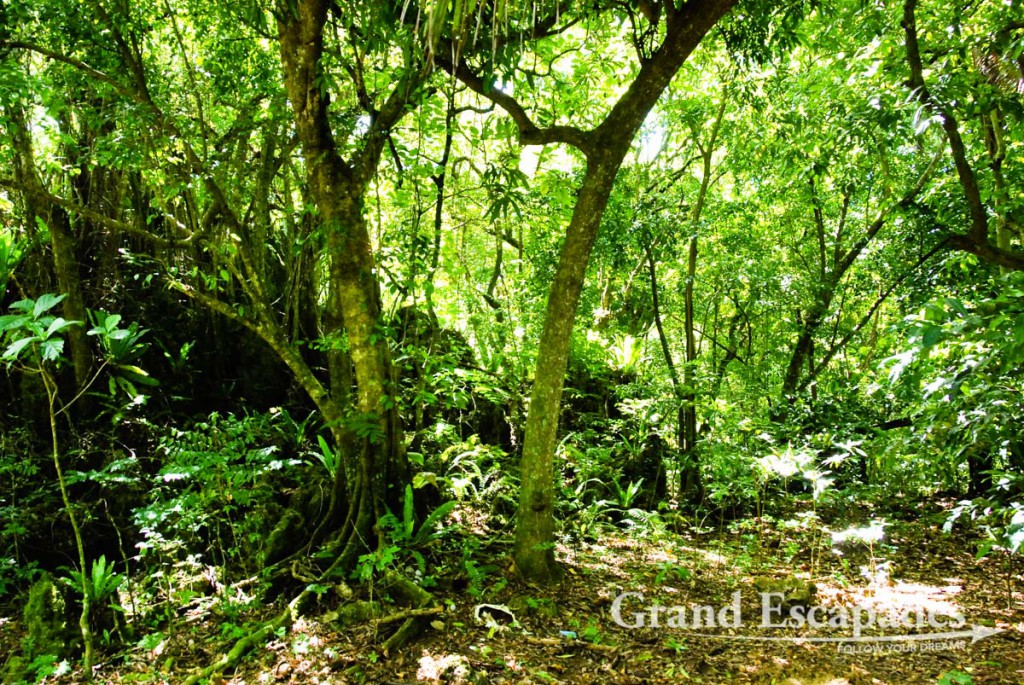 Ana Takitaki - The Cave Of The Kopeka Bird - Travel Aficionados